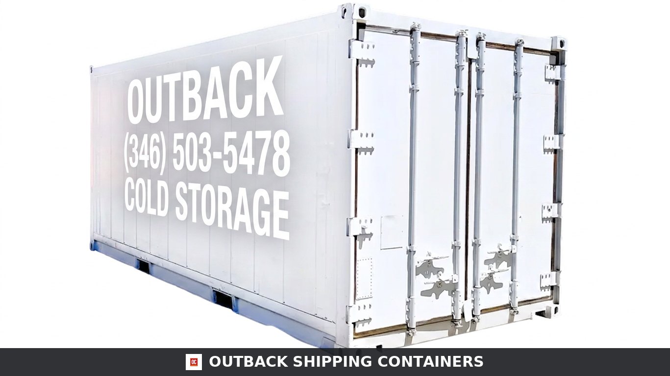 Single-Phase 20ft New Refrigerated Container Low Temp