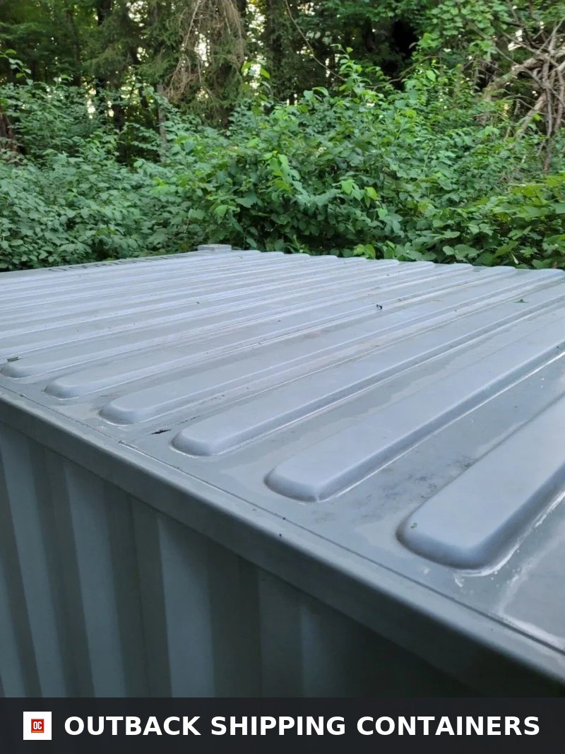 20Ft Used Steel Shipping Container for Sale — Rear Exterior View | Outback Shipping Containers 20Ft Used Steel Shipping Container – Excellent Condition — 20ft — used — storage containers (image 4 of 8)