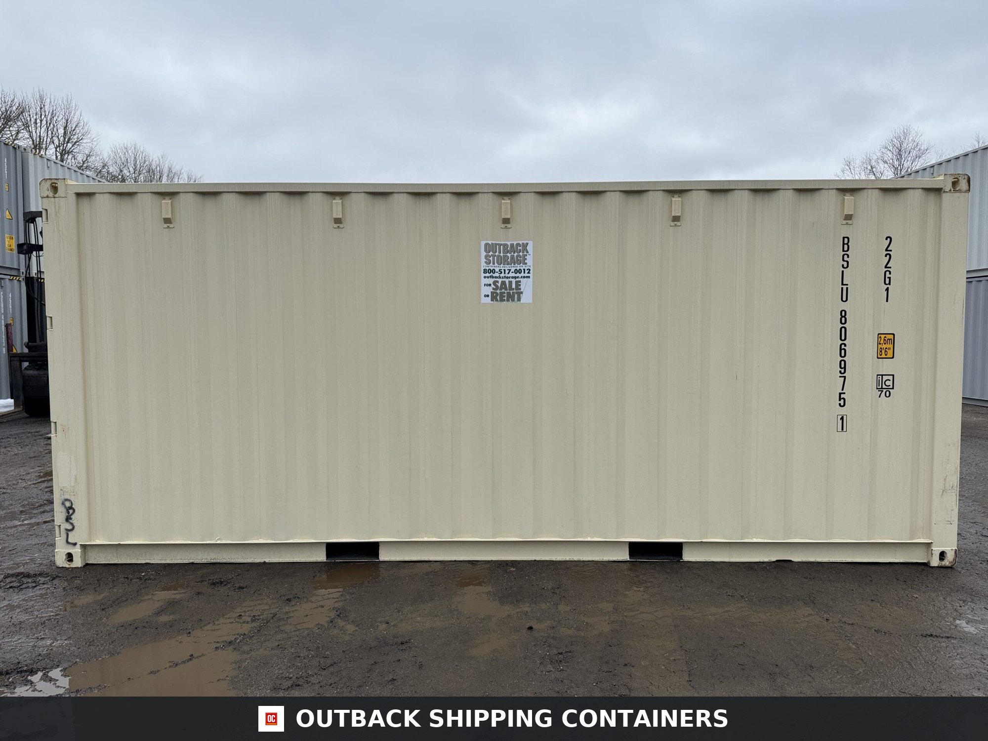 20ft New Shipping Container – Wind & Watertight – Beige — 20ft — new (image 10 of 12)