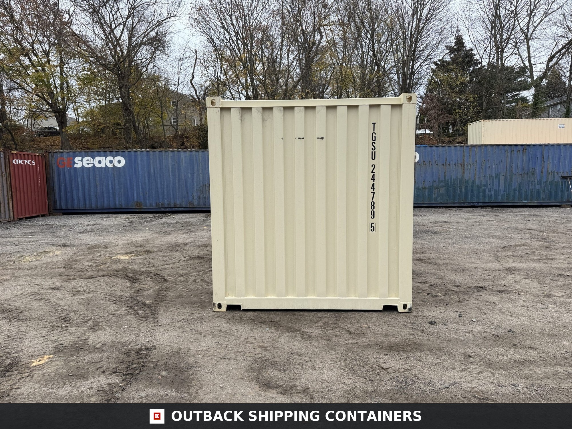 20ft New Shipping Container – Wind & Watertight – Beige — 20ft — new (image 10 of 12)