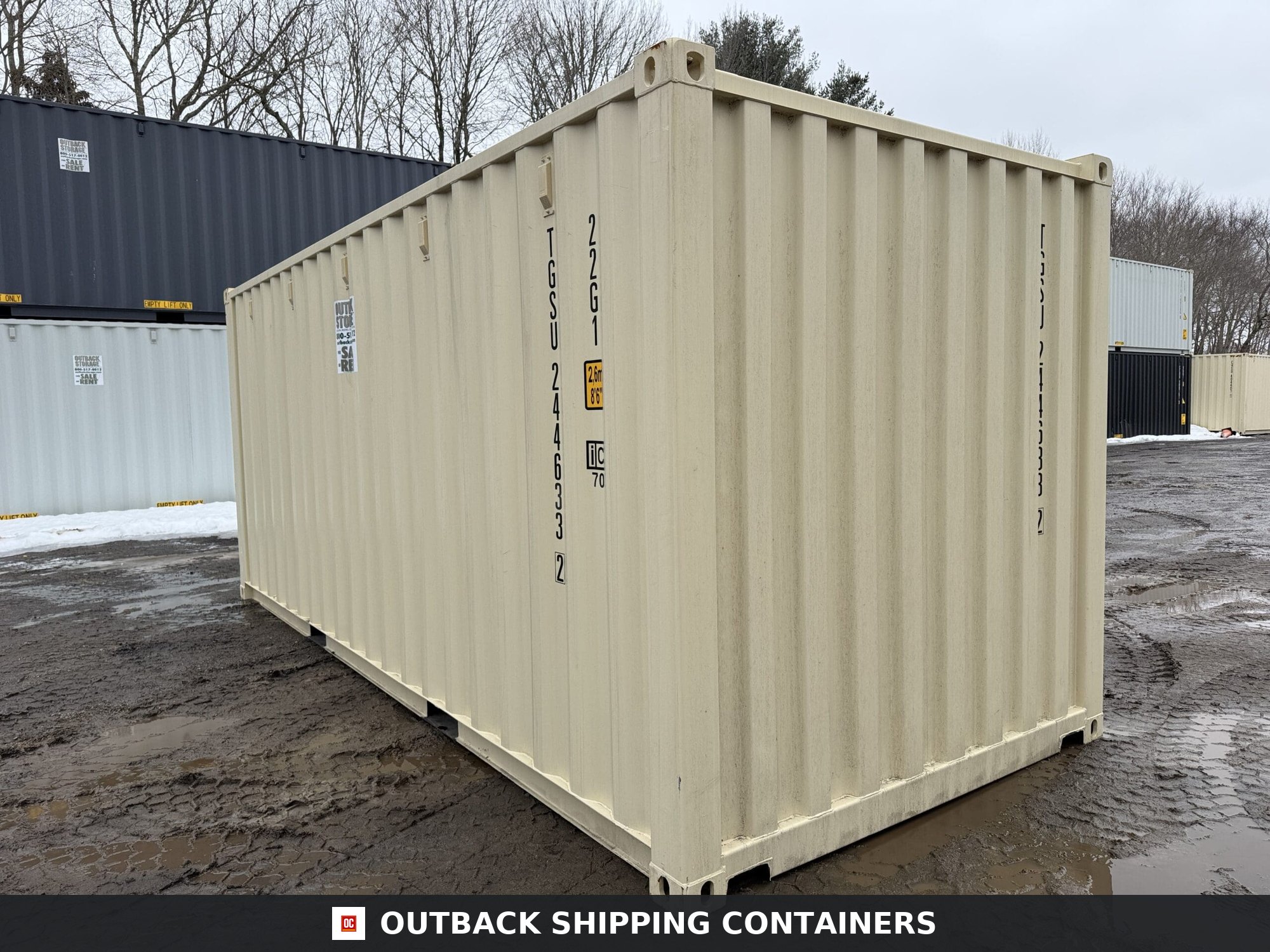 20ft New Shipping Container – Wind & Watertight – Beige — 20ft — new (image 9 of 12)