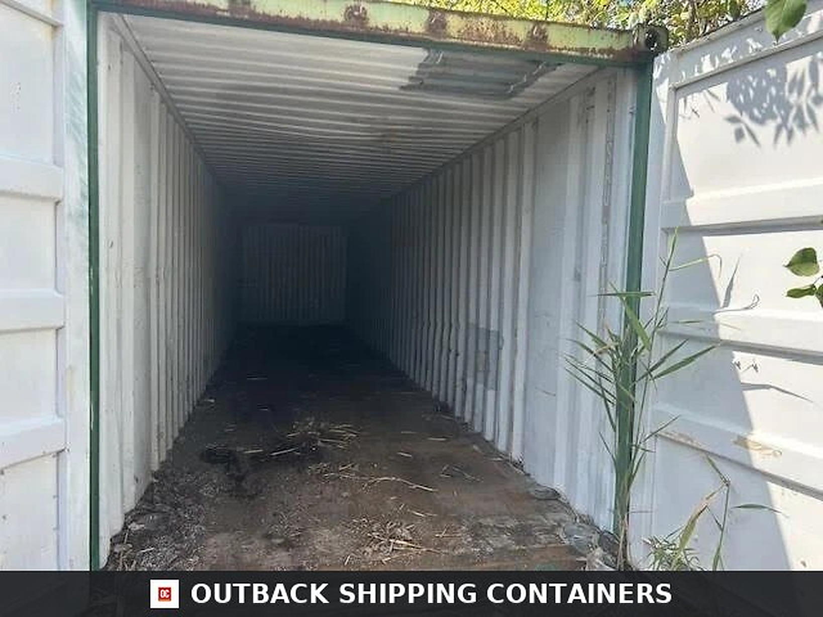 Interior view of an empty used 20ft shipping container showing weathered wood flooring and white corrugated steel walls